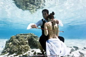 Lagon cellist on mermaid by Christian Coulombe 